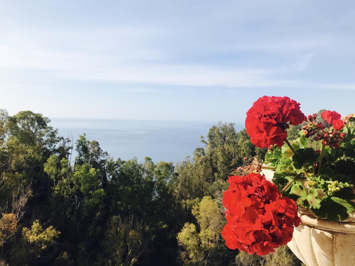 Hotel Villa Riis Taormina Buitenkant foto
